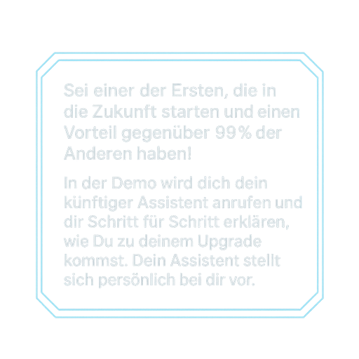 Demo-Info